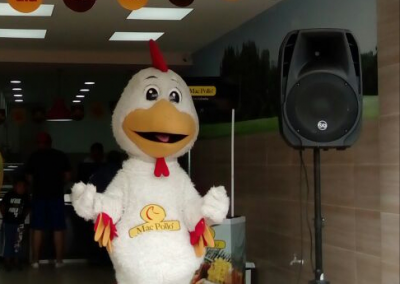 6 carrosvalla.com Carros Valla Locución Agencia BTL Entrega y Exhibición de publicidad.  Sonido profesional, Iluminación, Carpas, Tarimas, Pantallas LED.